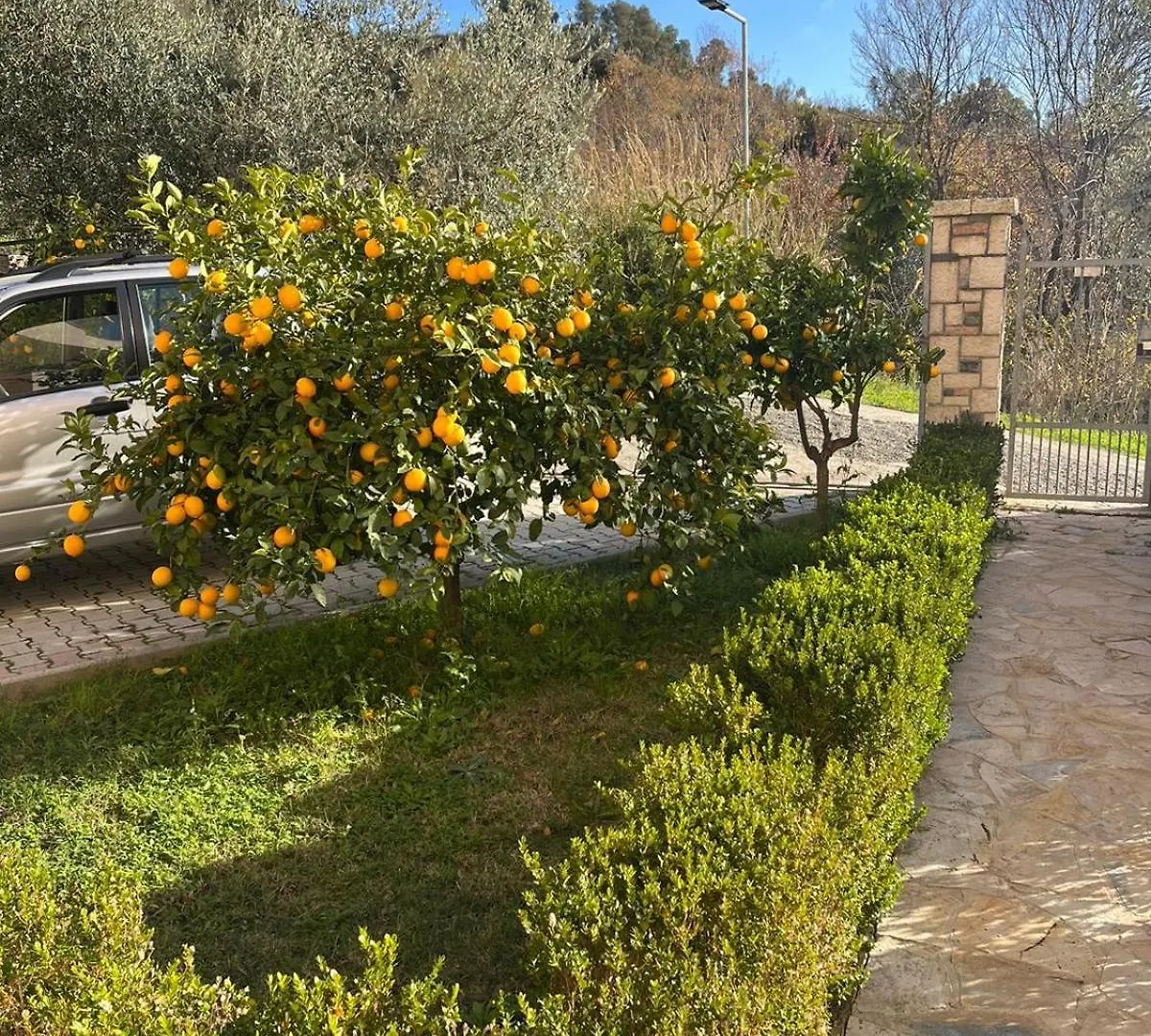 Villa Dei Limoni Durres Aparthotel Shkallnur